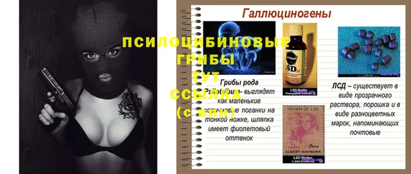 молекула духа Балахна