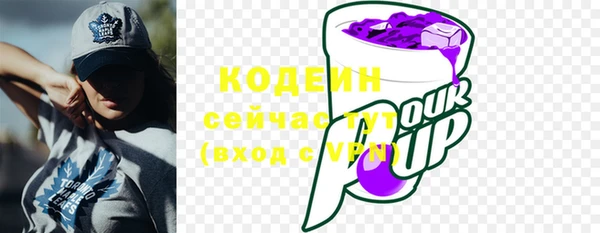 шишки Баксан