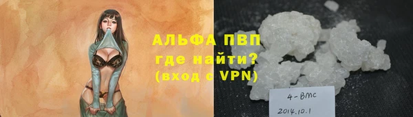 молекула духа Балахна