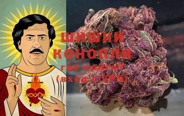 шишки Баксан