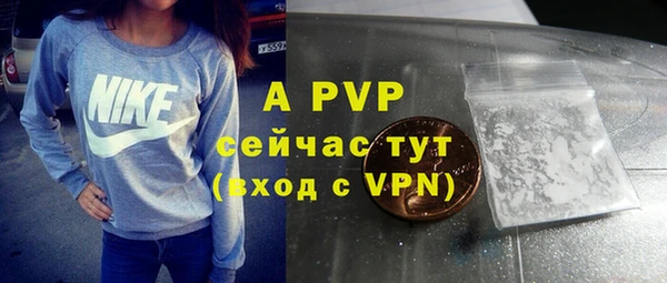 молекула духа Балахна