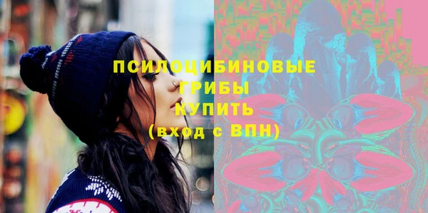 молекула духа Балахна
