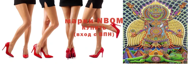 шишки Баксан