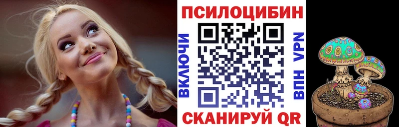 как найти   Губкинский  блэк спрут маркетплейс  Галлюциногенные грибы GOLDEN TEACHER 
